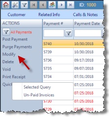 V11 - Payments - modify