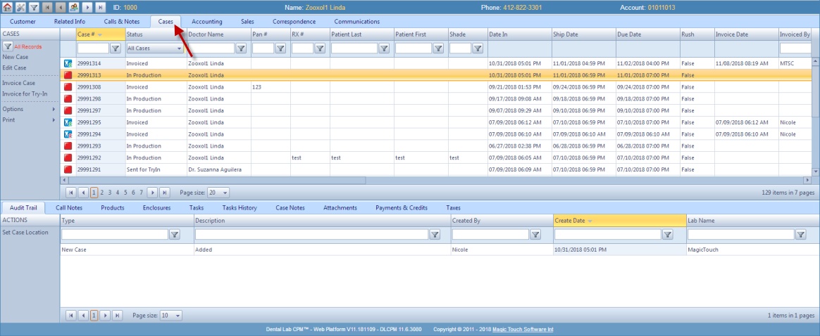 V11 - Customer - Cases