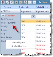 V11 - Payments - purge payment