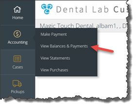 View balances and payments - navigation