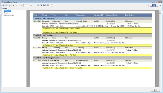 V12 - Customer Reports - Calls for this Customer - report 2